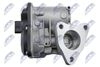 EGR-RE-019_3-WM.JPG