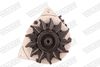 wal02562_5320484.JPG