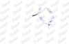 80610_3022296.JPG