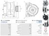A01316(SEG)_256960.JPG