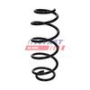 Pružina podvozku FT01903