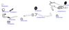 OP-EXSVG030_20260529081641.JPG