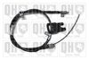 QH_BC4281.JPG