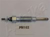PM162_1.JPG