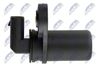 ECP-CH-040_3-WM.JPG