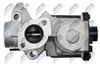 EGR-AU-018_7-WM.JPG