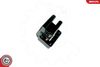 SKV_03SKV147_WM_05.JPG