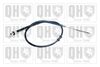 QH_BC3661.JPG