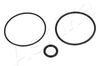 ORING1_1.JPG