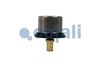 Termostat, chladivo 2880275