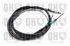 QH_BC3614.JPG