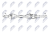npw-ns-177_9-wm.PNG