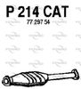P214CAT.JPG