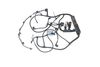 Elektricky kabel 2.25464