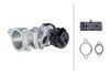 HELLA EGR Valve 6NU 010 171-671