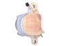 APEC Brake Caliper RCA182N