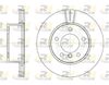 6651-10-MODEL.BMP