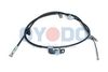 25047069.JPG