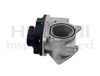 egr_2508460_4.JPG