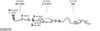 SYS03139.JPG