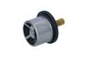 Termostat, chladivo 725029