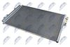 CCS-BM-003_2-WM.JPG