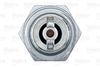 VALEO_SPARK_PLUG_246887_03.JPG