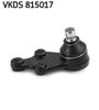 VKDS 815017.JPG