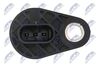 ECP-AU-037_4-WM.JPG