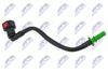 BPP-CT-018_2-WM.JPG