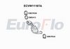 ecvw1116ta.JPG