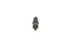Bosch Nozzle and Holder Assembly 0432217077