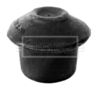 BEM3167_210026.JPG