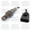 81847.JPG