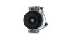  ACP536000P