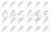 NPW-FR-185_9-WM.PNG