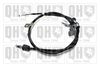 QH_BC3991.JPG