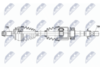NPW-BM-156_9-WM.PNG