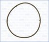 00982700.JPG