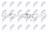npw-ch-179_9-wm.PNG