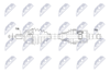 NPW-DW-073_9-WM.PNG