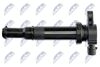 ECZ-HY-521_3-WM.JPG