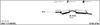 524000347.BMP