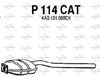 P114CAT.JPG