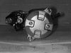 DSCN0089.JPG