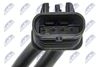 CTM-PE-009_4-WM.JPG