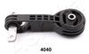 GOM-4040_1.JPG