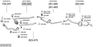SYS10772.JPG