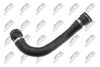 CPP-BM-002_2-WM.JPG