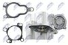EGR-RE-005_5-WM.JPG